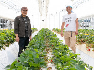 農薬代を大幅削減！ 適切な農薬散布管理ができるコンサル監修アプリがリリース