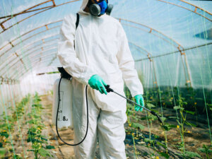 適切に農薬を使って収益向上＆労力削減を目指そう！ 失敗しない病害虫対策のコツ