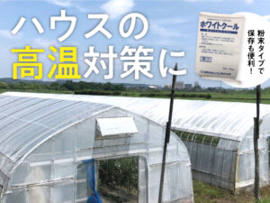 ハウスの高温対策に！ 炭酸カルシウムのパイオニア企業が生み出した遮光資材