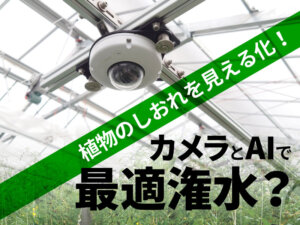 植物のしおれ状態をAIで見える化！ 的確な水やりで高糖度トマトの安定生産・省力化に