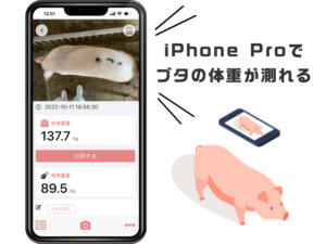 スマホで豚の体重や枝肉測定をする時代へ！ 畜産コンサルのコーンテックの挑戦に迫る
