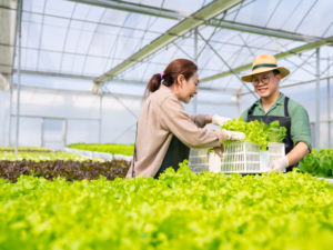 農産物の価格が「楽しさ」で変わる？ 付加価値を高める販売方法とは