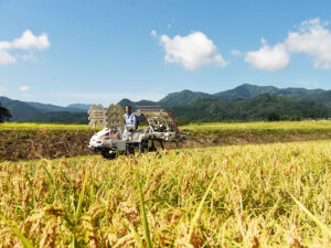 「生産活動そのもの」を価値として販売するには？ コメ農家の未来を切り開く、生産者の奮闘