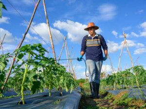 ムリムダの無い病害虫・雑草の防除を！ IPMを基本のキからおさらいしよう