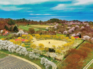 【JGAP畜産のススメ】JGAP認証取得のメリットや基準、かかる時間や費用を紹介！