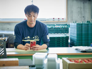青果市況情報を無料アプリでチェック！ 卸値価格の分析で販路開拓・売上向上へ