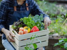 脱サラ農業を成功させて儲かるためには？就農のリアルな現実と成功させるポイントを解説！