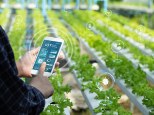 スマート農業技術活用促進法の使い方ガイド 優遇税制と融資を活用しよう！