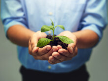 農業で起業するには何が必要？起業パターンのメリット・デメリットや成功する戦略を徹底解説！