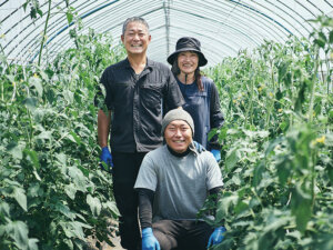 コメリの農業用品がお得に買える！ 【令和7年度】農業用品WEB予約受付中