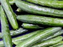 【家庭菜園】きゅうり栽培で大事なポイントとは？ベストな肥料や正しい栽培方法を徹底解説！