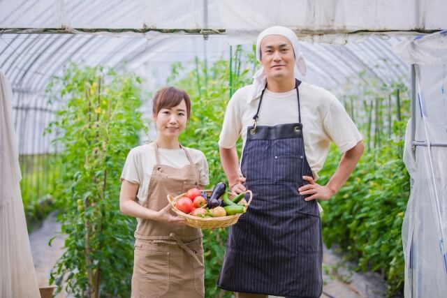 ハウス農業をする男女