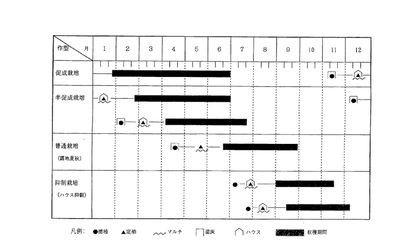 きゅうりの栽培時期の図