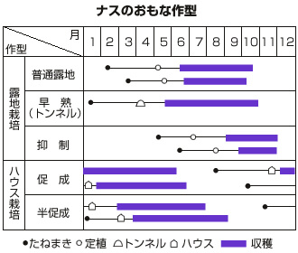 ナスの栽培時期