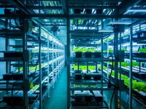 【植物工場ビジネスの概要を徹底解説】光源の種類、光強度、波長、ランニングコストの現状と課題