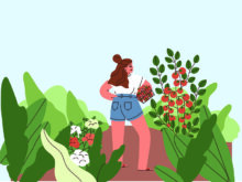 【トマト編】症状別で見る！ 生理障害・病害虫の原因と予防の基礎知識