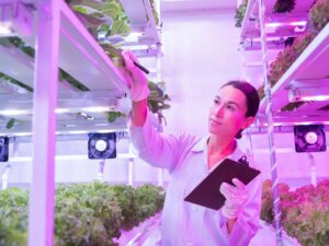【植物工場ビジネス参入ポイント】補助金はどのように活用すべきか？ 持続可能性のあるシステム構築へ
