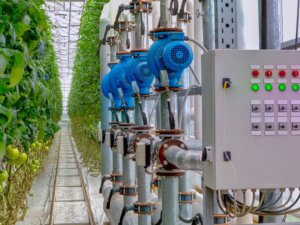 【植物工場ビジネスの概要を徹底解説】重要なのは設備のスペックよりも、植物が求めている環境