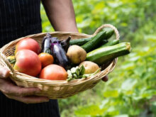 農業を地方に移住してやりたい！就農の方法と使える補助金を徹底解説！