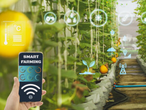 【動き出したスマート農業技術活用促進法】生産方式革新実施計画を11件認定