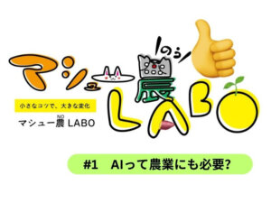 「AIって農業にも必要？」前職はベンチャー企業、就農して7年目の農家コラム【マシュー農LABO】#1