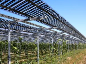 農業×再エネでカーボンニュートラルへ。営農型太陽光発電の導入促進事業の第1次募集を開始