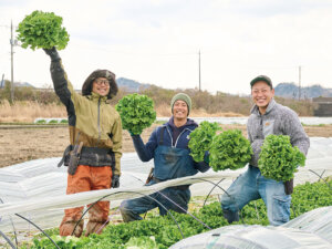 根張りや微生物の活性化に！ 有機農家自慢のレタス栽培の裏に万田酵素の“土づくり”あり
