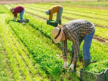 全国新規就農相談センターは、大型連休に都内2ヶ所で就農相談を実施！オンライン相談も受付中。