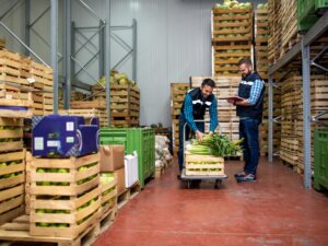 市場における入荷作業時間を82%削減！ JAと市場のデータ連携で作業効率を大幅アップへ