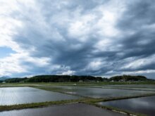 米不足の春・・・田植え最盛期に異常低温。政府備蓄米の放出に生産農家のやり場のない不安な思い
