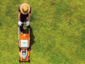 農機バイヤーに聞いた！ 時短ニーズが広がる除草作業を支える、注目の草刈り製品とは？