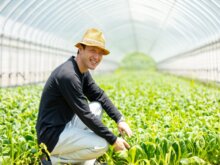 中山間地で有機農業を規模拡大！やる気を育てる農業法人の組織運営とは？