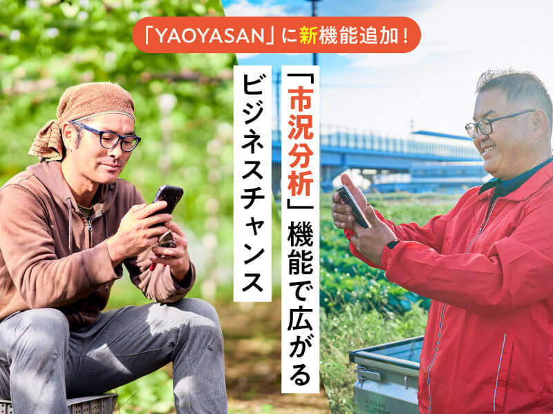 「YAOYASAN」の「市況分析」で収益を高める！　青果物を高く売る出荷戦略