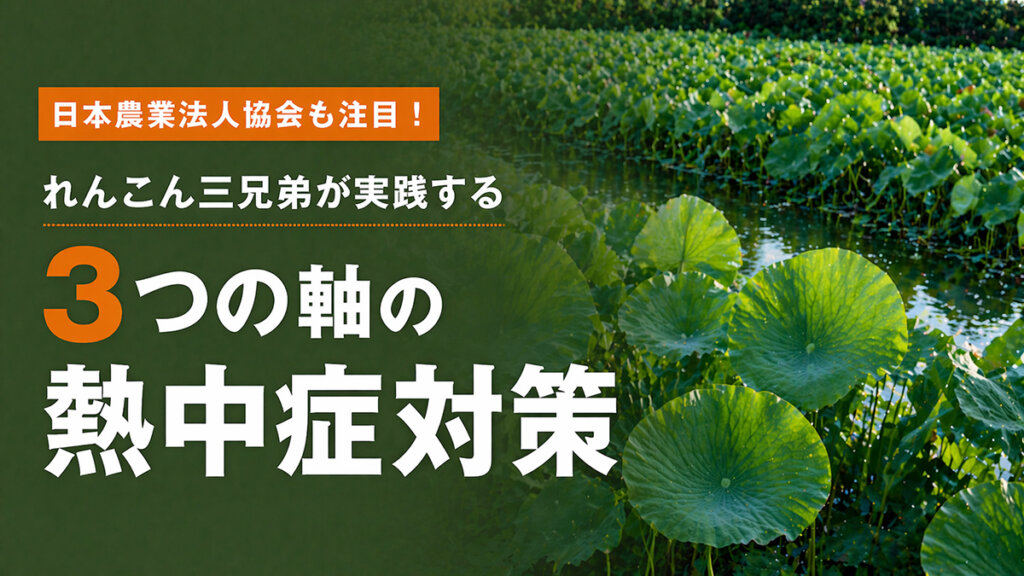 【熱中症対策の先進事例】「モノ」「仕組み」「人」 3つの軸で従業員を守る「れんこん三兄弟」