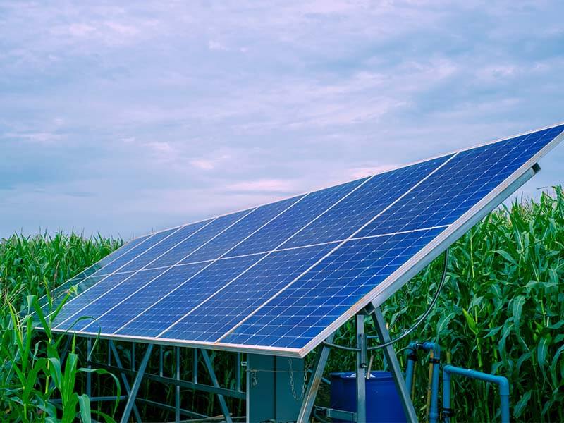 営農型太陽光の制度見直し案を了承、市町村特例で柔軟な導入を支援